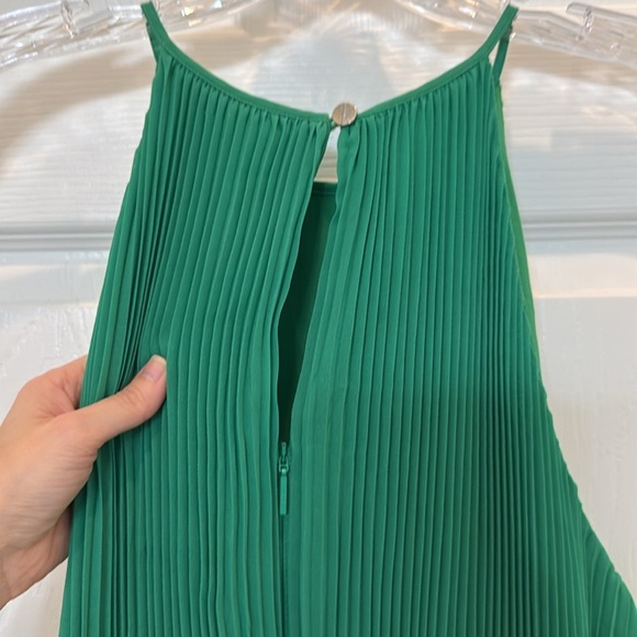 Ted Baker London Nellina Pleated Midi Dress 4 (US Size 10) - Picture 7 of 14